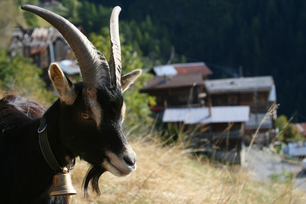 Gite L'Ermitage Villa Veysonnaz Eksteriør bilde